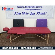 GIƯỜNG CHÂM CỨU BẤM HUYỆT DI ĐỘNG CAO CẤP HL1